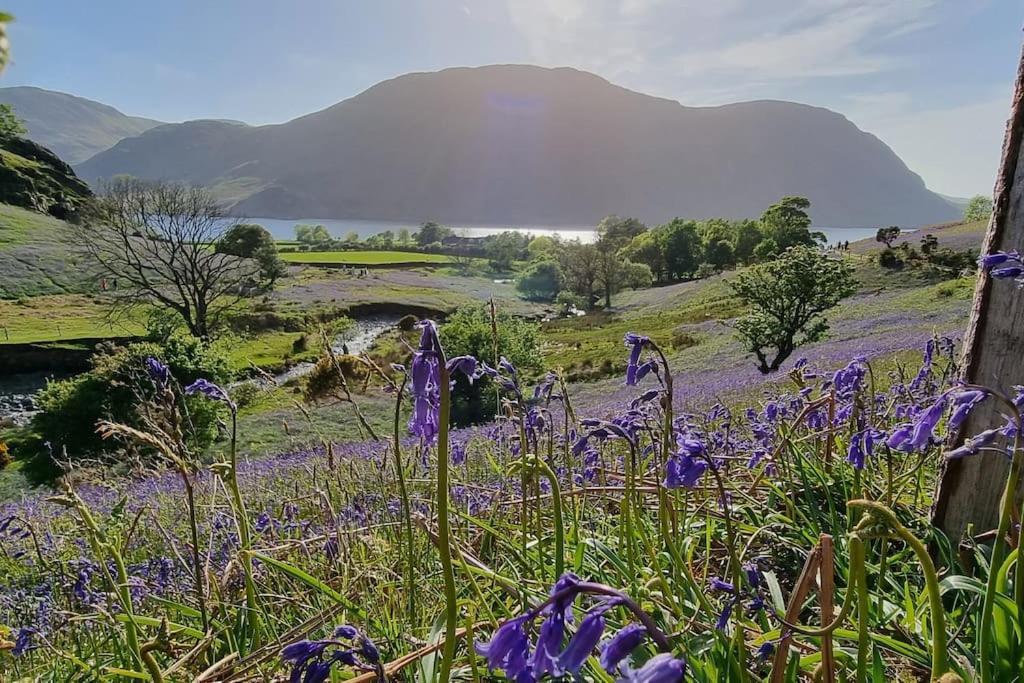 Peaceful Countryside Retreat Near Beach/Lakes Distington Eksteriør bilde
